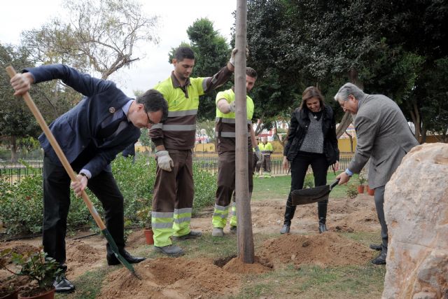 Murcia rinde homenaje a las personas que se enfrentan al cáncer con la plantación del Árbol de la Vida en El Malecón - 1, Foto 1