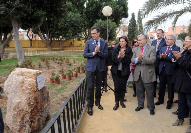 Murcia rinde homenaje a las personas que se enfrentan al cáncer con la plantación del Árbol de la Vida en El Malecón - 4, Foto 4