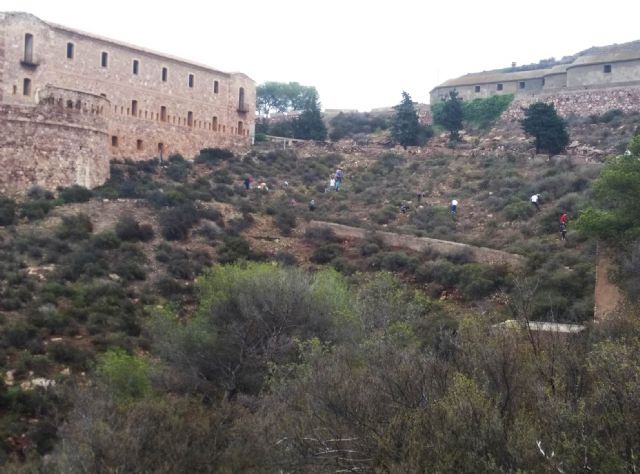 La Asociación para la recuperación del bosque autóctono (ARBA) de Cartagena ha plantado más de 2000 árboles este invierno en los montes de Cartagena - 2, Foto 2