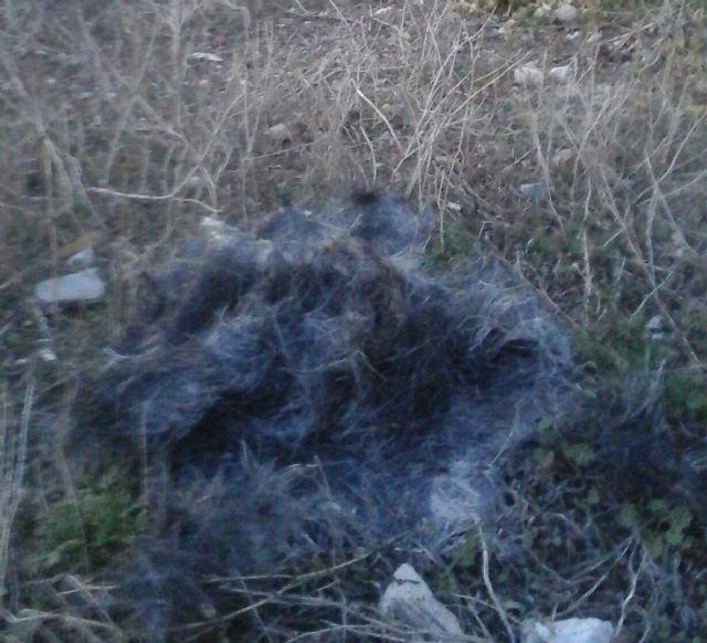 IU-Verdes urge a que comiencen las actuaciones en Torrecilla y Campillo contra futuras avenidas - 1, Foto 1