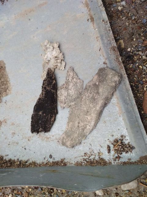 IU-Verdes urge a que comiencen las actuaciones en Torrecilla y Campillo contra futuras avenidas - 2, Foto 2