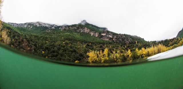 Columbares lanza el proyecto Versión Original del Segura (V.O.S.) - 4, Foto 4