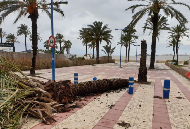 El Ayuntamiento contrata mobiliario de playa con cargo a los 125.000 euros concedidos por la CARM - 1, Foto 1