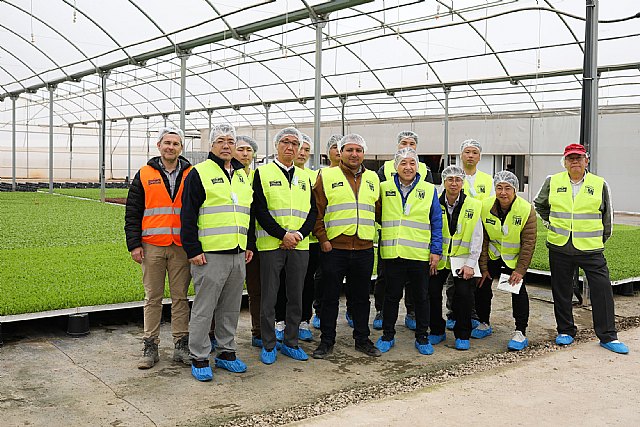 La Federación Nacional de Agricultores Japoneses visita los campos y el centro de producción de Florette en murcia - 2, Foto 2