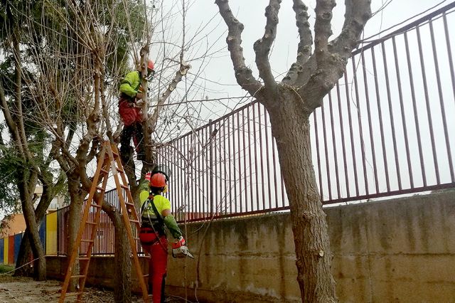 El Ayuntamiento continúa su apuesta por mejorar el medioambiente con el uso de maquinaria eléctrica para el cuidado de los jardines - 2, Foto 2