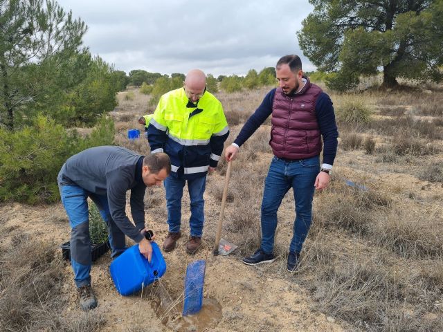 Aguas de Lorca planta 600 árboles para contribuir a la descarbonización y combatir la deforestación - 3, Foto 3