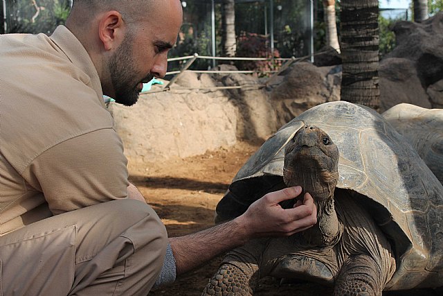  Zoológicos y acuarios se unen a gobiernos y ONG´s para revertir el rojo - 1, Foto 1