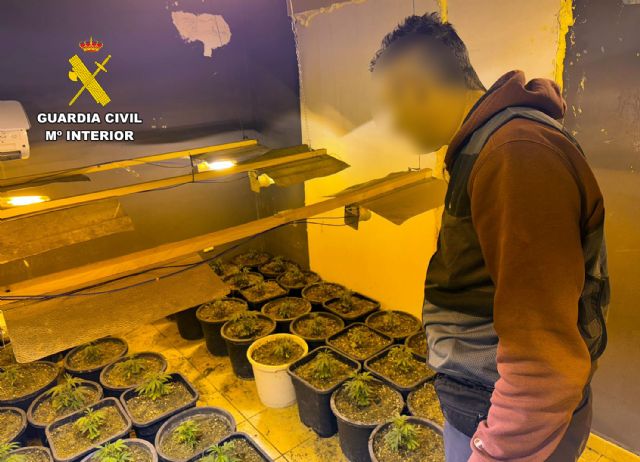 La Guardia Civil desmantela un invernadero indoor de marihuana en Abarán - 2, Foto 2