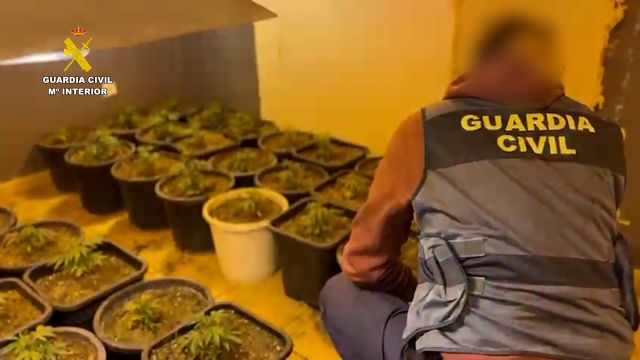 La Guardia Civil desmantela un invernadero indoor de marihuana en Abarán - 3, Foto 3