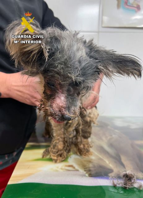 La Guardia Civil investiga a un vecino de Águilas por maltrato animal - 2, Foto 2