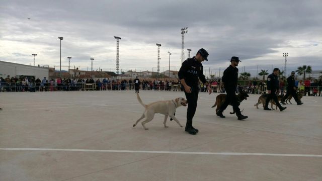 Las Torres de Cotillas acoge su segunda exhibición canina de cuerpos de Policía Local - 2, Foto 2