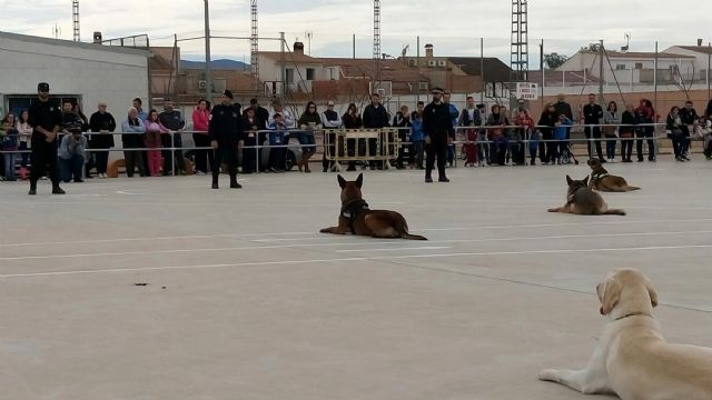 Las Torres de Cotillas acoge su segunda exhibición canina de cuerpos de Policía Local - 3, Foto 3
