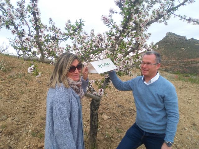 La directora general de Fondos Agrarios comprueba en Lorca la aplicación de la medida agroambiental de lucha biotecnológica - 1, Foto 1