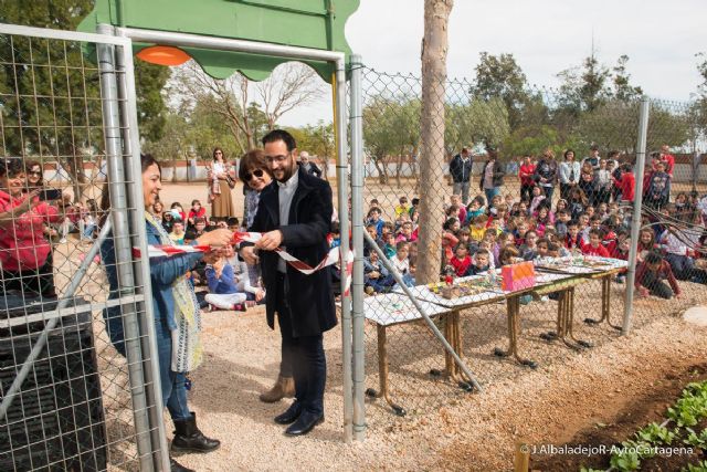 El colegio San Cristobal de El Bohio inaugura su huerto urbano - 1, Foto 1