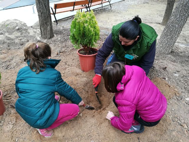Los niños del Colegio Antonio Machado participan en una plantación guiados por las alumnas de la Escuela Taller de Bullas - 2, Foto 2
