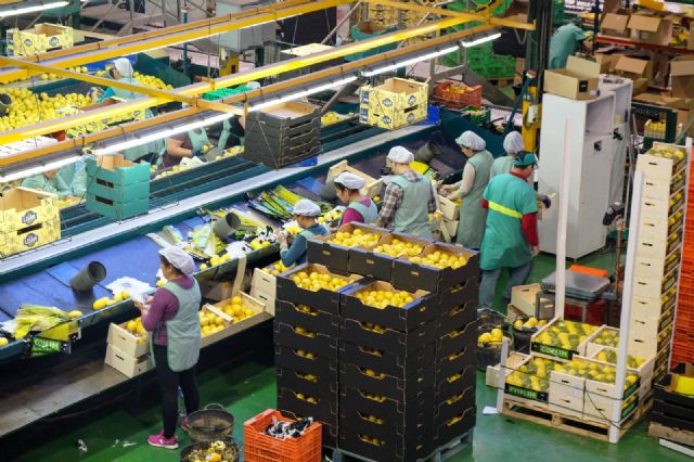 Fecoam elabora una guía de buenas prácticas en igualdad de género para las empresas agroalimentarias - 1, Foto 1