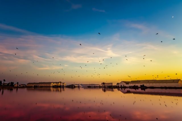Febrero cierra con datos récord de ocupación hotelera en la serie histórica - 1, Foto 1