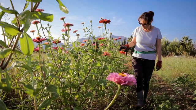 Las mujeres lideran siete de cada diez proyectos LEADER de autoempleo en las zonas rurales del sur de Alicante - 3, Foto 3
