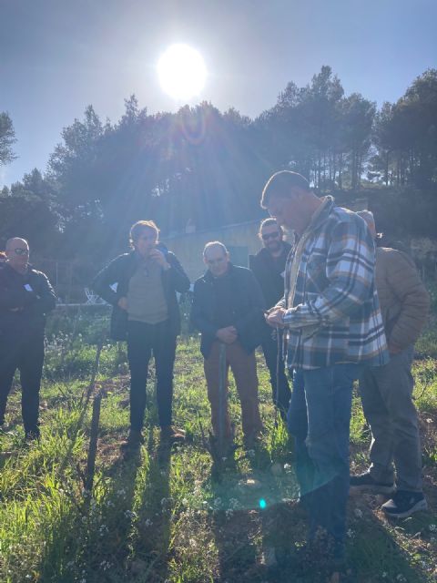 La DOP Jumilla realiza un intercambio técnico con AOC Bandol - 1, Foto 1