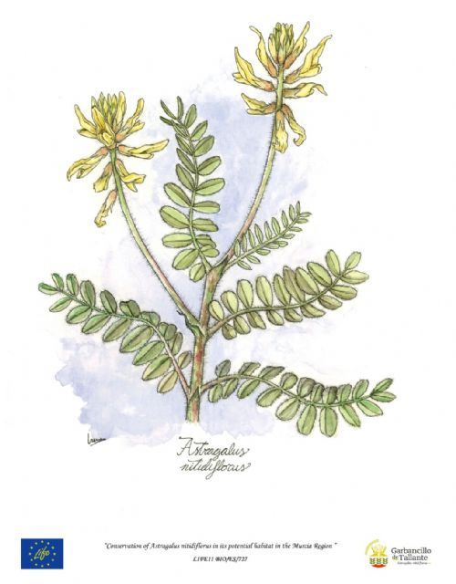 IV premios ‘Garbancillo de Oro’ - 2, Foto 2