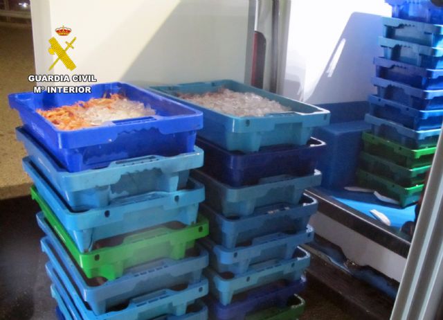 La Guardia Civil intercepta una furgoneta con 20 kilos de merluza de talla inferior a la permitida - 2, Foto 2