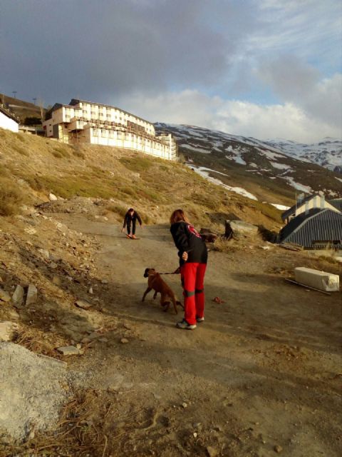 La Unidad Canina de Rescate de CRE Águilas ultima su formación - 2, Foto 2