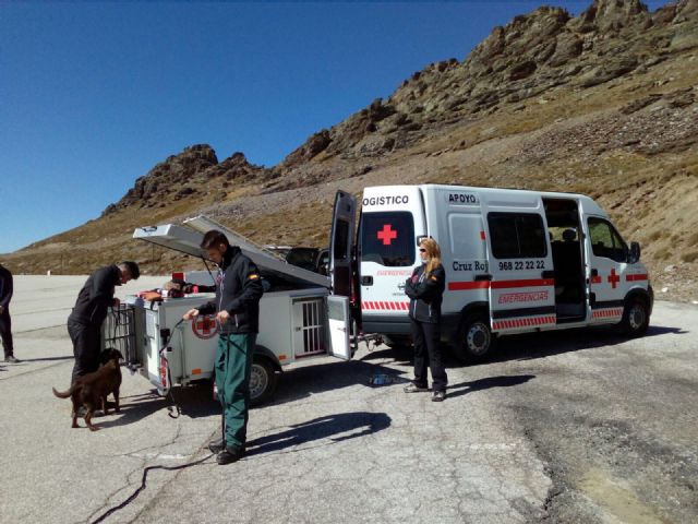 La Unidad Canina de Rescate de CRE Águilas ultima su formación - 3, Foto 3