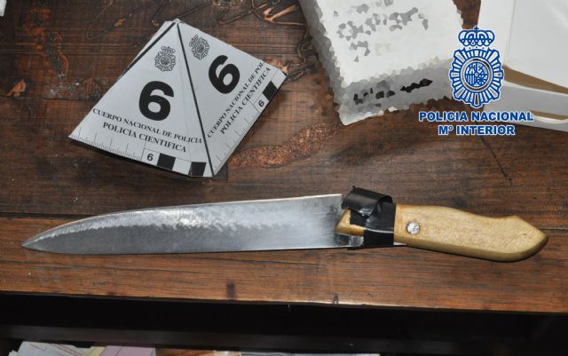 Detenidos tras dos atracos a locales en la pedanía murciana de Patiño - 3, Foto 3