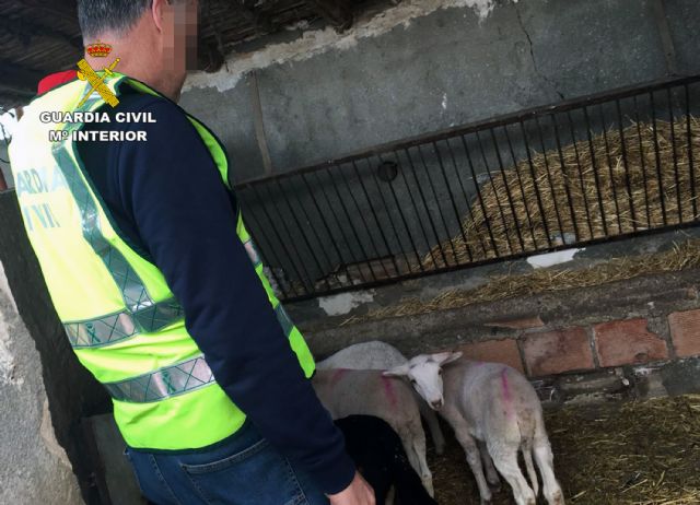 La Guardia Civil detiene a un experimentado delincuente dedicado a cometer robos en granjas, Foto 2