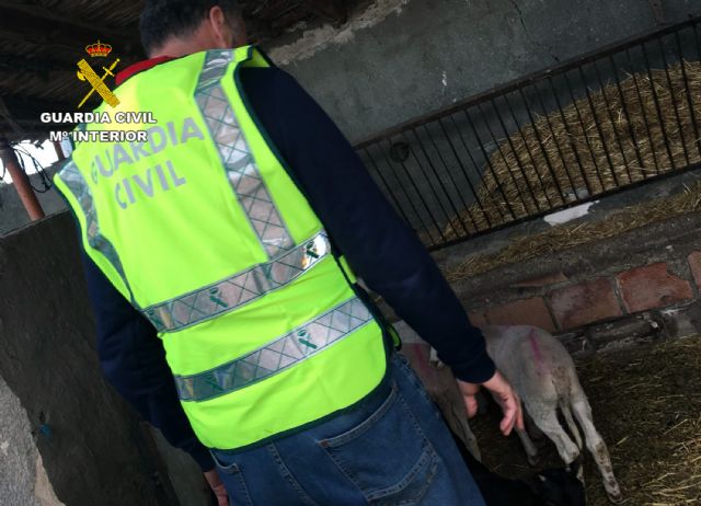 La Guardia Civil detiene a un experimentado delincuente dedicado a cometer robos en granjas, Foto 3