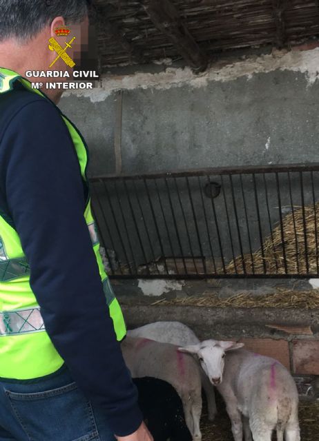 La Guardia Civil detiene a un experimentado delincuente dedicado a cometer robos en granjas, Foto 4