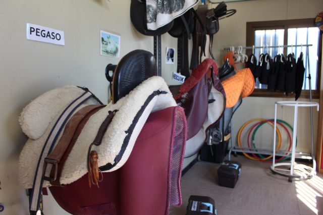 Ciudadanos quiere poner en marcha este año un programa municipal de Intervención Asistida con Animales en Cartagena - 2, Foto 2