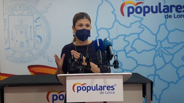 El PSOE excluye a los autónomos de las ayudas municipales, incumpliendo el mandato unánime alcanzado por el Pleno del Ayuntamiento - 1, Foto 1