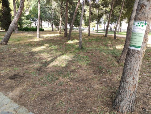 IU VERDES denuncia el más que probable uso y/o abuso de herbicida en el Jardín Botánico de Jumilla y algunas vías públicas - 1, Foto 1