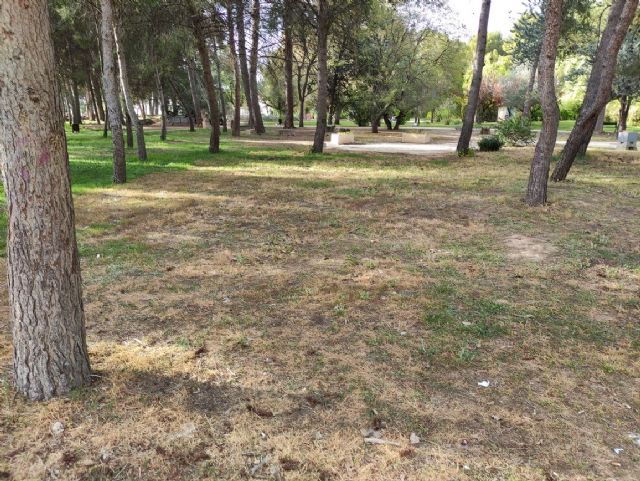 IU VERDES denuncia el más que probable uso y/o abuso de herbicida en el Jardín Botánico de Jumilla y algunas vías públicas - 2, Foto 2