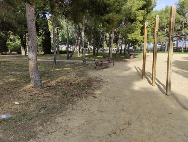 IU VERDES denuncia el más que probable uso y/o abuso de herbicida en el Jardín Botánico de Jumilla y algunas vías públicas - 3, Foto 3