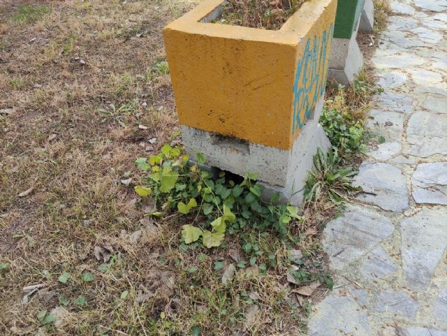 IU VERDES denuncia el más que probable uso y/o abuso de herbicida en el Jardín Botánico de Jumilla y algunas vías públicas - 5, Foto 5
