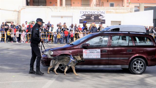 Seis unidades caninas policiales demuestran su destreza en la tradicional exhibición de la Policía Local - 2, Foto 2