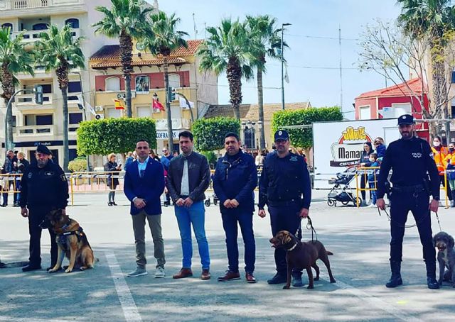 Seis unidades caninas policiales demuestran su destreza en la tradicional exhibición de la Policía Local - 5, Foto 5