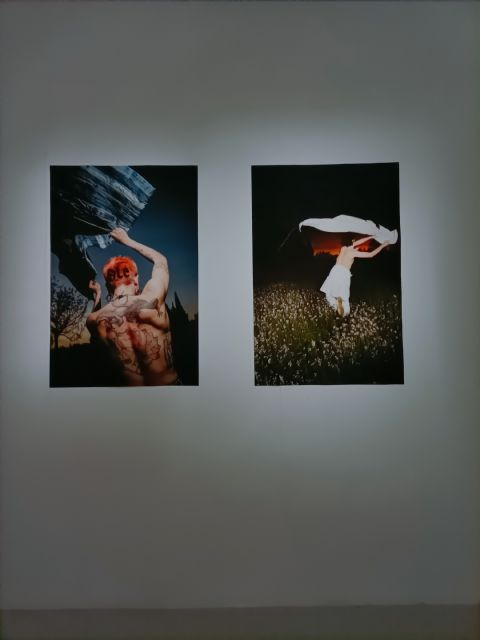 La artista Laura Turpín muestra su exposición 'Un poder cegador' en el Centro Párraga - 1, Foto 1