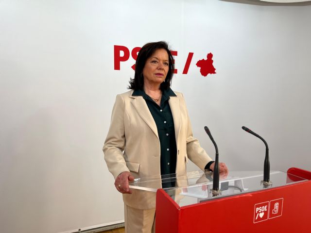 El PSOE exige al Gobierno de López Miras la inmediata actualización de la Ley de Patrimonio Cultural - 1, Foto 1