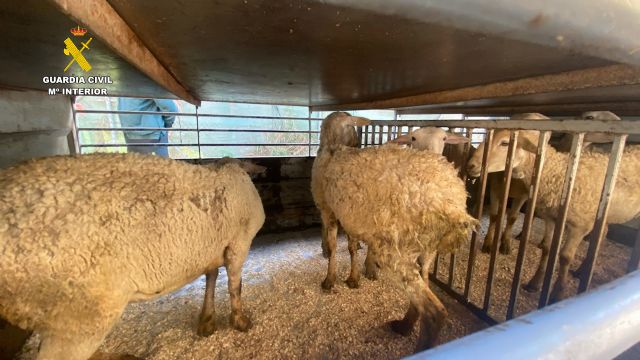 La Guardia Civil esclarece dos robos en granjas de la comarca del Noroeste - 3, Foto 3