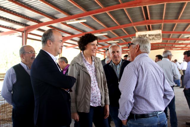 Puerto Lumbreras acoge una nueva edición de la Feria de Ganado Equino - 2, Foto 2