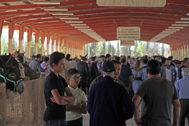Puerto Lumbreras acoge una nueva edición de la Feria de Ganado Equino - 3, Foto 3