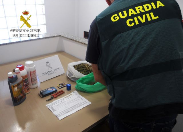 La Guardia Civil desmantela una plantación de marihuana sembrada en un melonar - 4, Foto 4