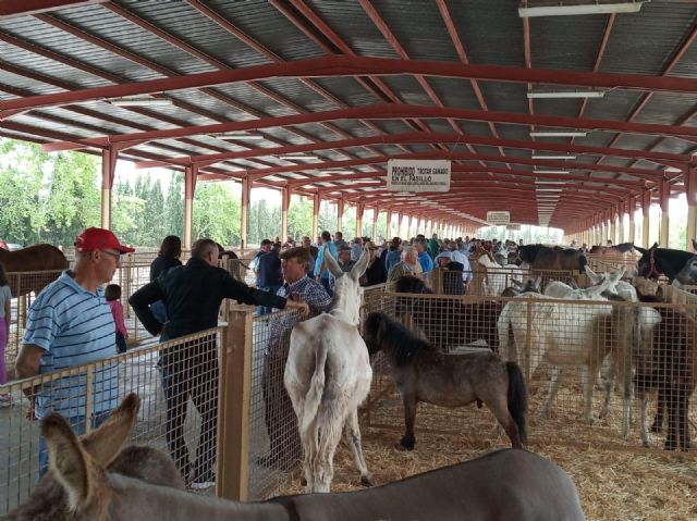 Puerto Lumbreras celebra la Feria de Ganado Equino - 1, Foto 1