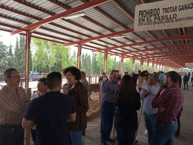Puerto Lumbreras celebra la Feria de Ganado Equino - 2, Foto 2