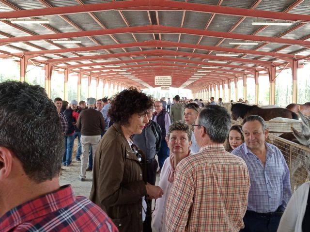 Puerto Lumbreras celebra la Feria de Ganado Equino - 3, Foto 3