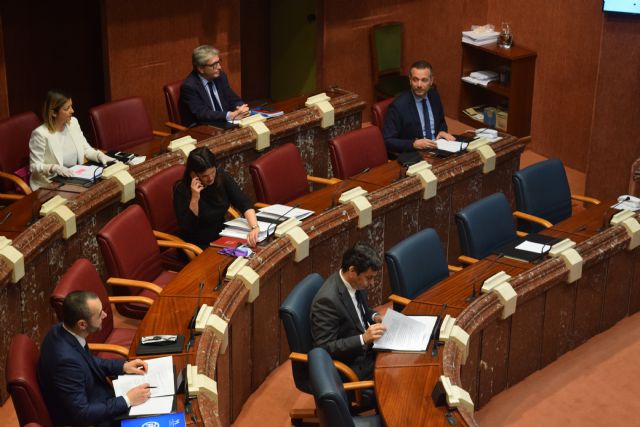 La Asamblea Regional evaluará el impacto sanitario del coronavirus en la Región a propuesta del Partido Popular - 1, Foto 1