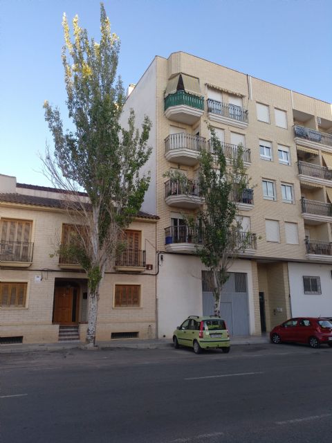 IU VERDES apostaría por otro tipo de obras en estos momentos y no por la Avenida de la Asunción - 1, Foto 1